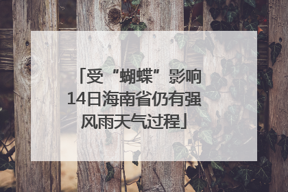 受“蝴蝶”影响 14日海南省仍有强风雨天气过程